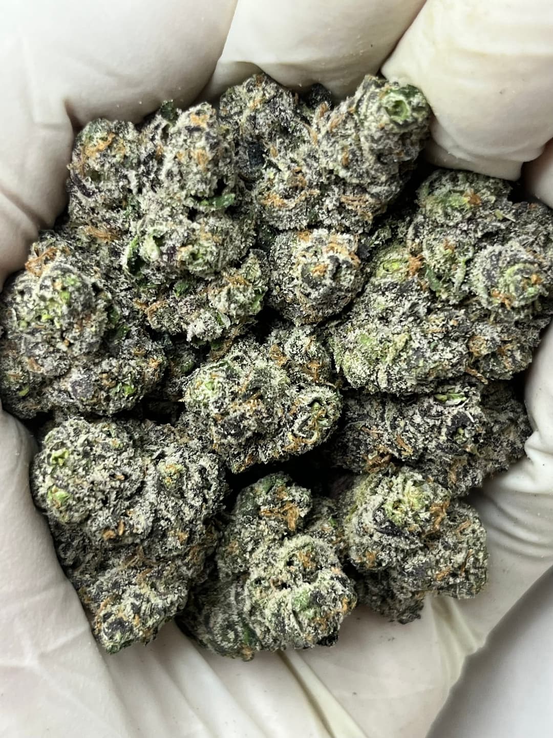 P LCG (Bigs), photo 1 of 2