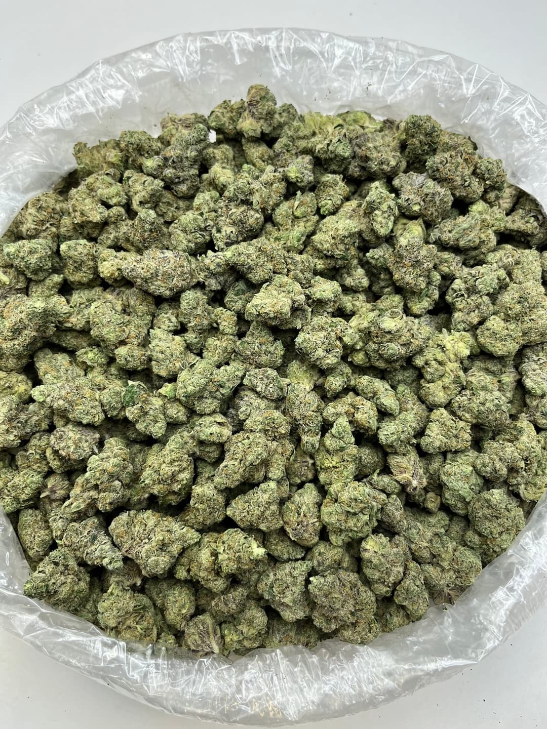 Blue Nerds (Bigs), photo 2 of 2