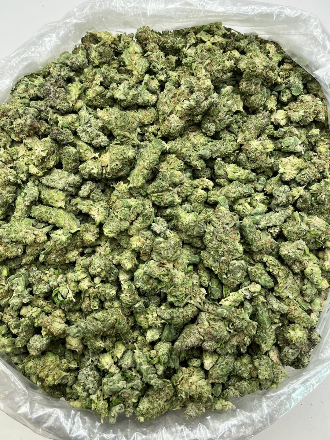 Green Berry Bigs, same lot, photo 2 of 2