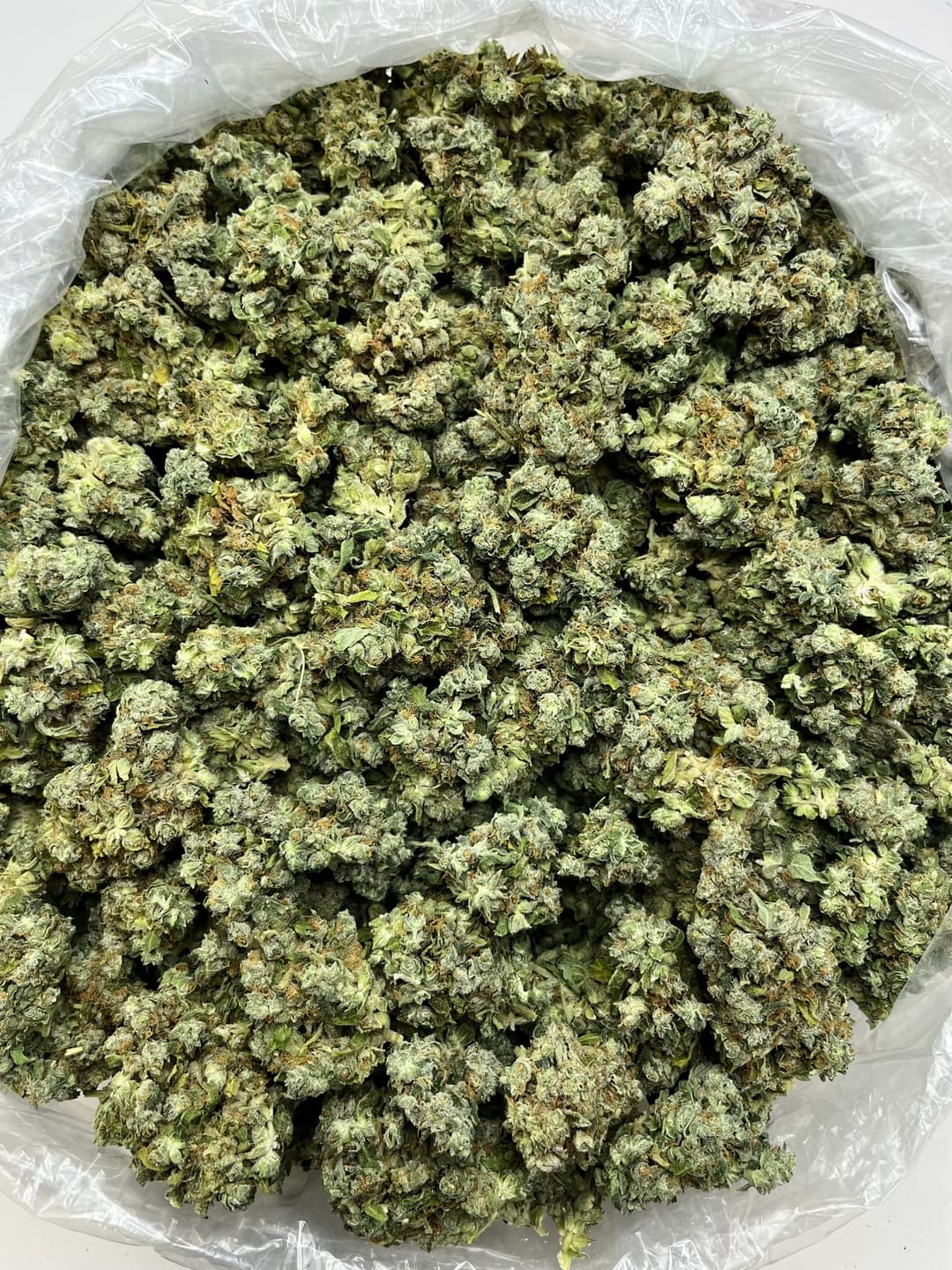 Blue Dream (Bigs), photo 2 of 2