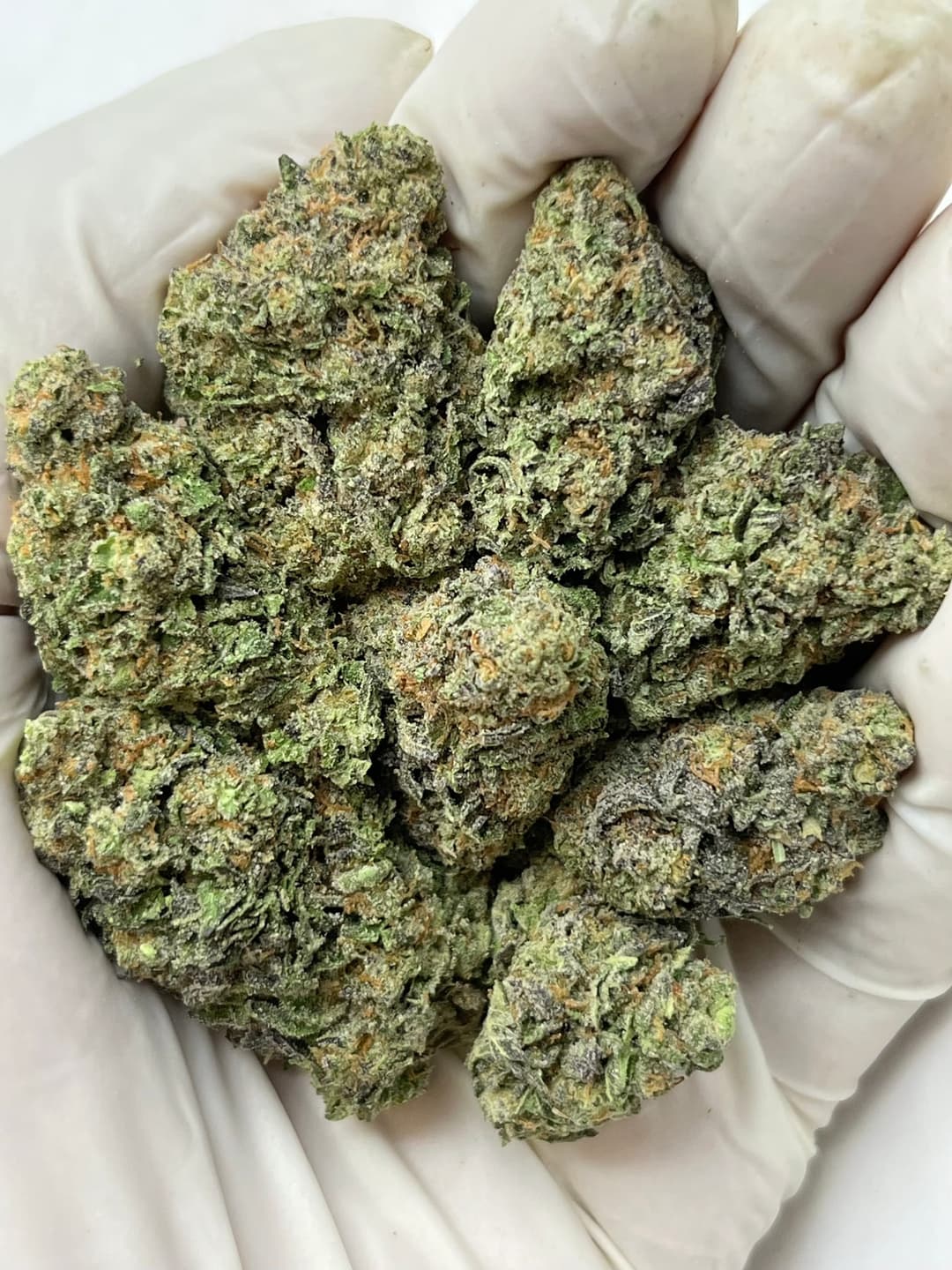 Gruntz (Bigs), photo 1 of 2