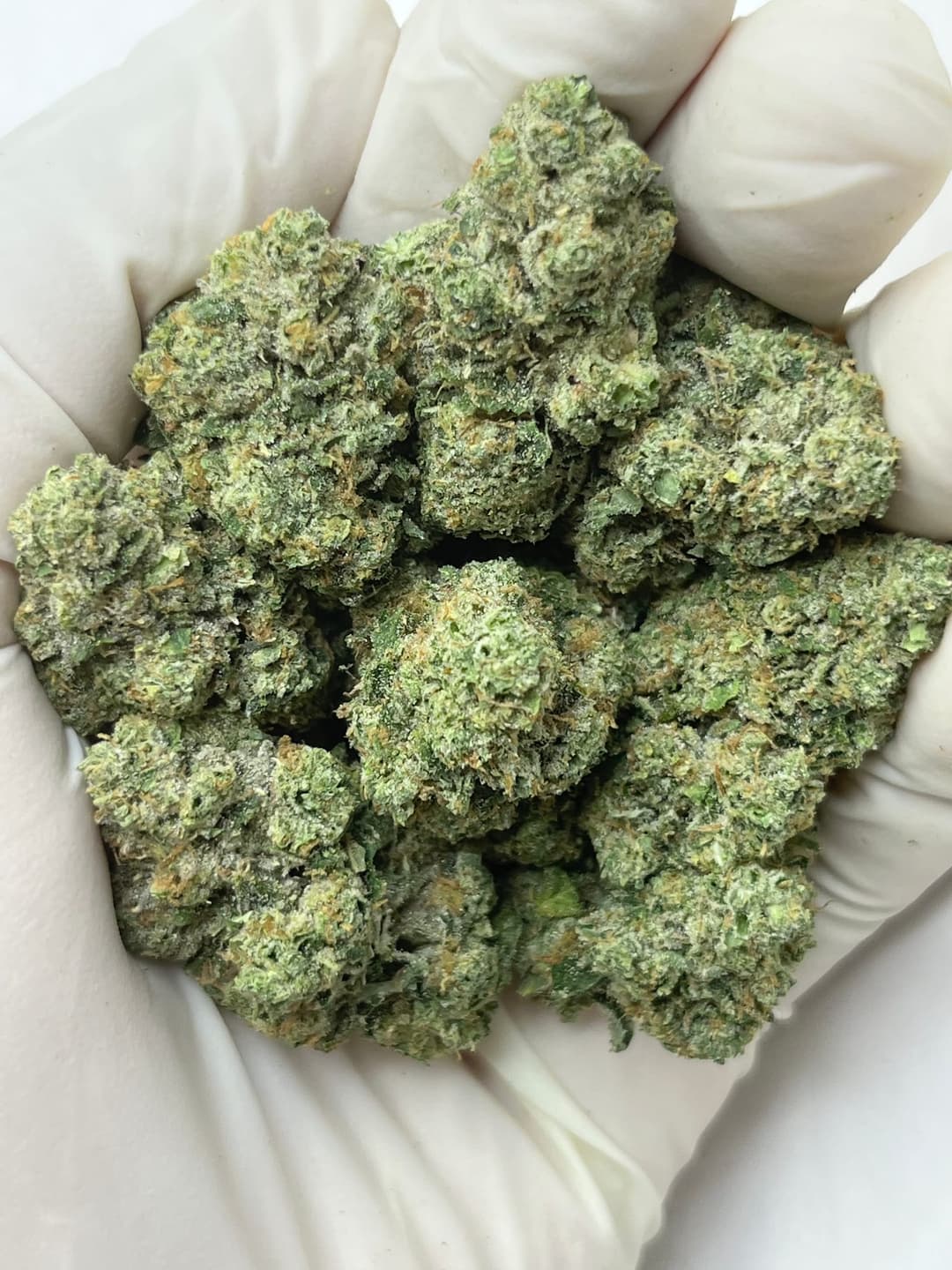Kami Kush (Bigs), photo 1 of 2