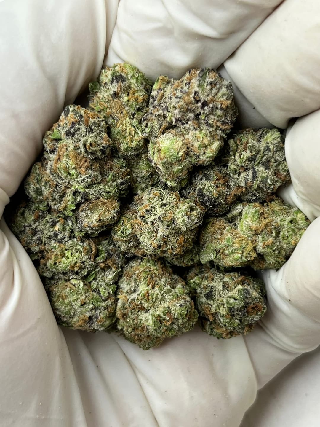 Peanut Butter Breath (Bigs), photo 1 of 2