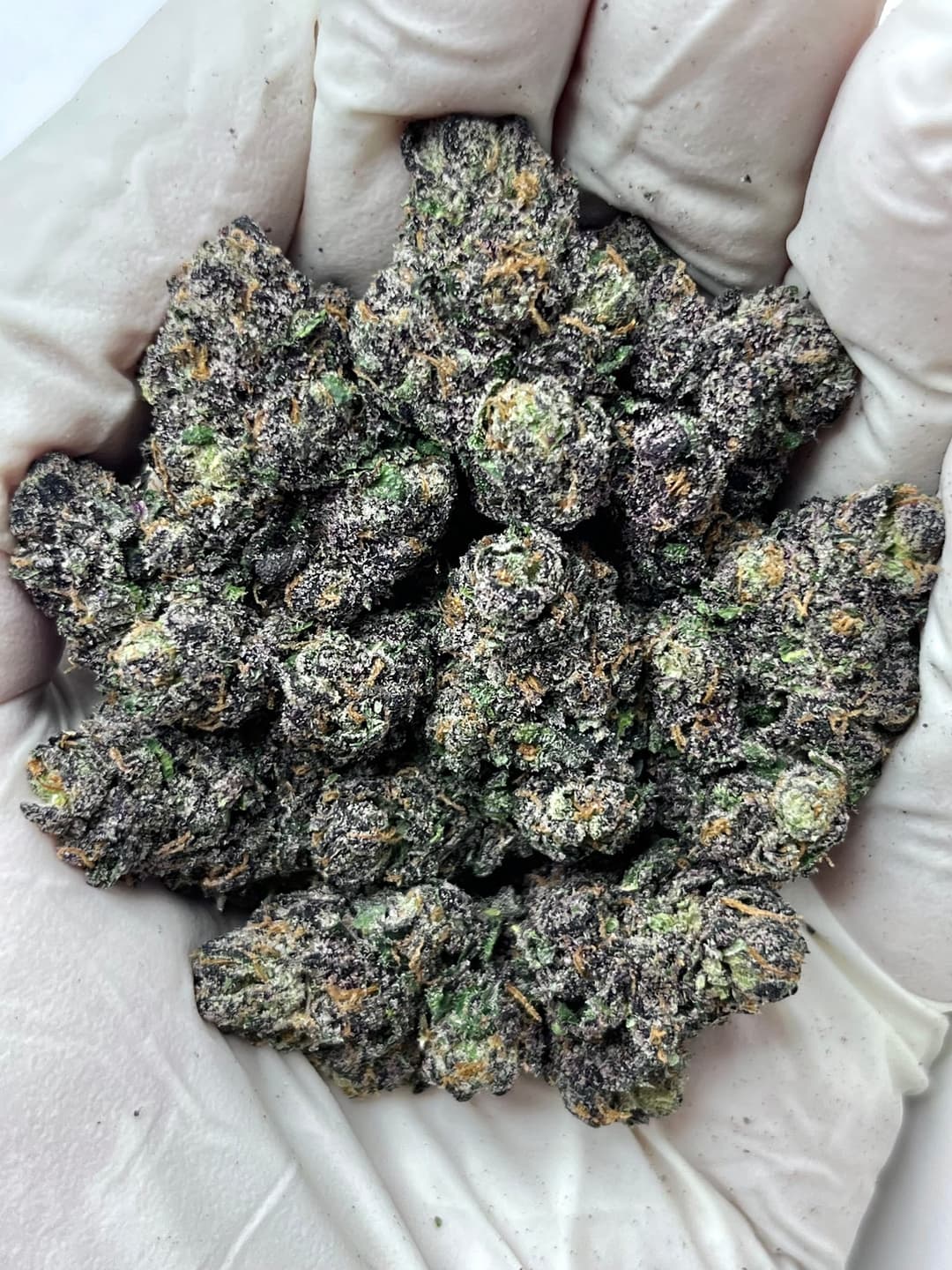 Candy Cartel (Bigs), photo 1 of 2