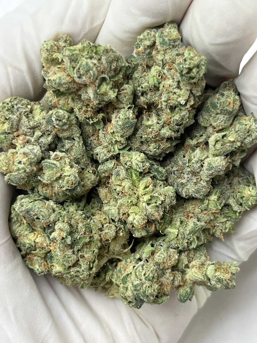 Strawberry Cough Bigs, same lot, photo 1 of 2