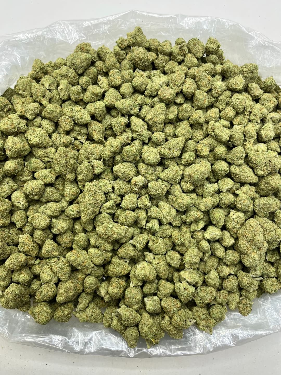 Papaya Punch (Bigs), photo 2 of 2