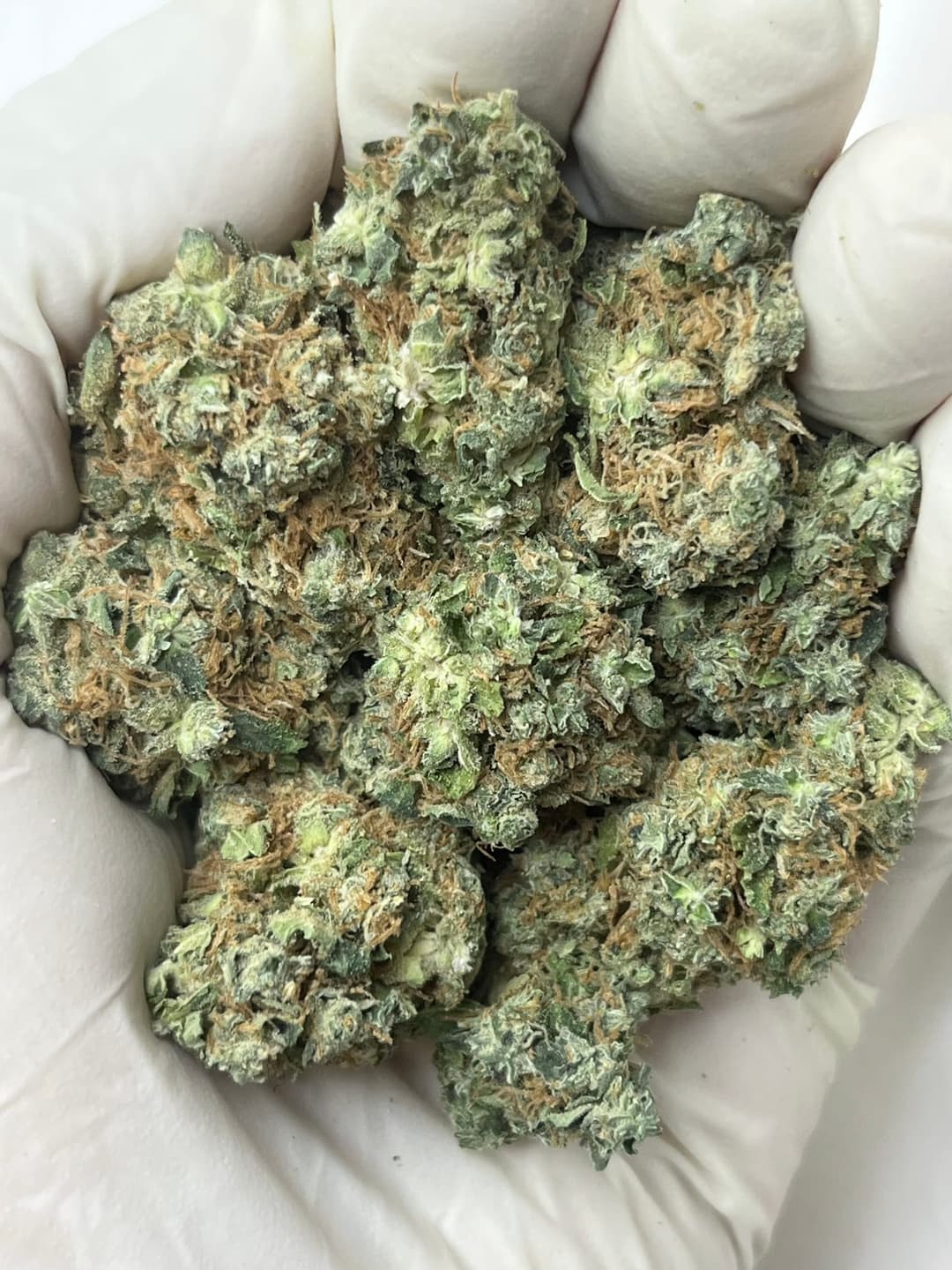 Amnesia Haze Bigs, same lot, photo 1 of 2