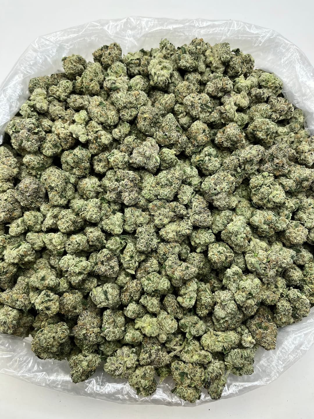 Gelato Runtz (Bigs), photo 2 of 2