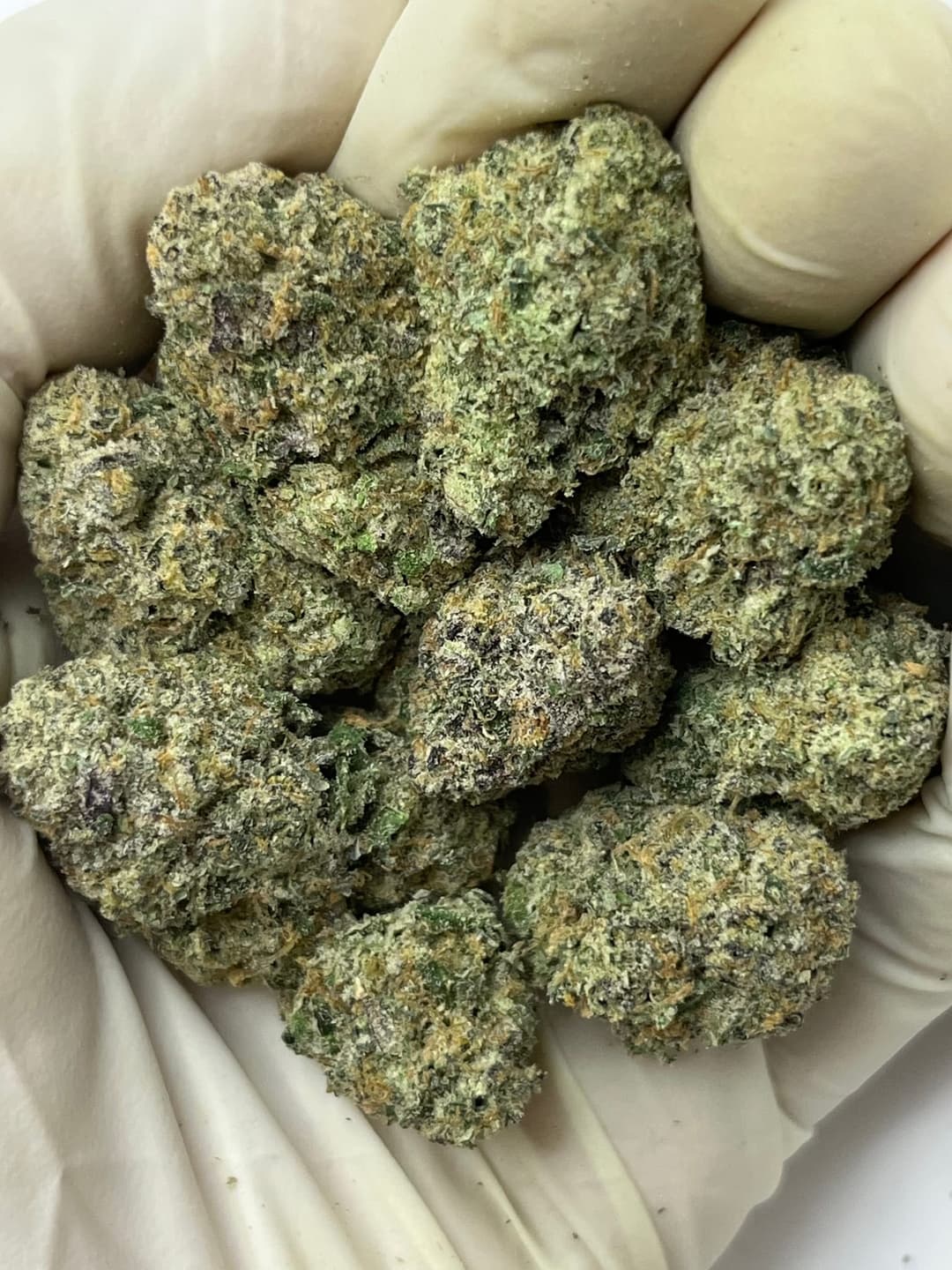 Pheno Hunt (Bigs), photo 1 of 2