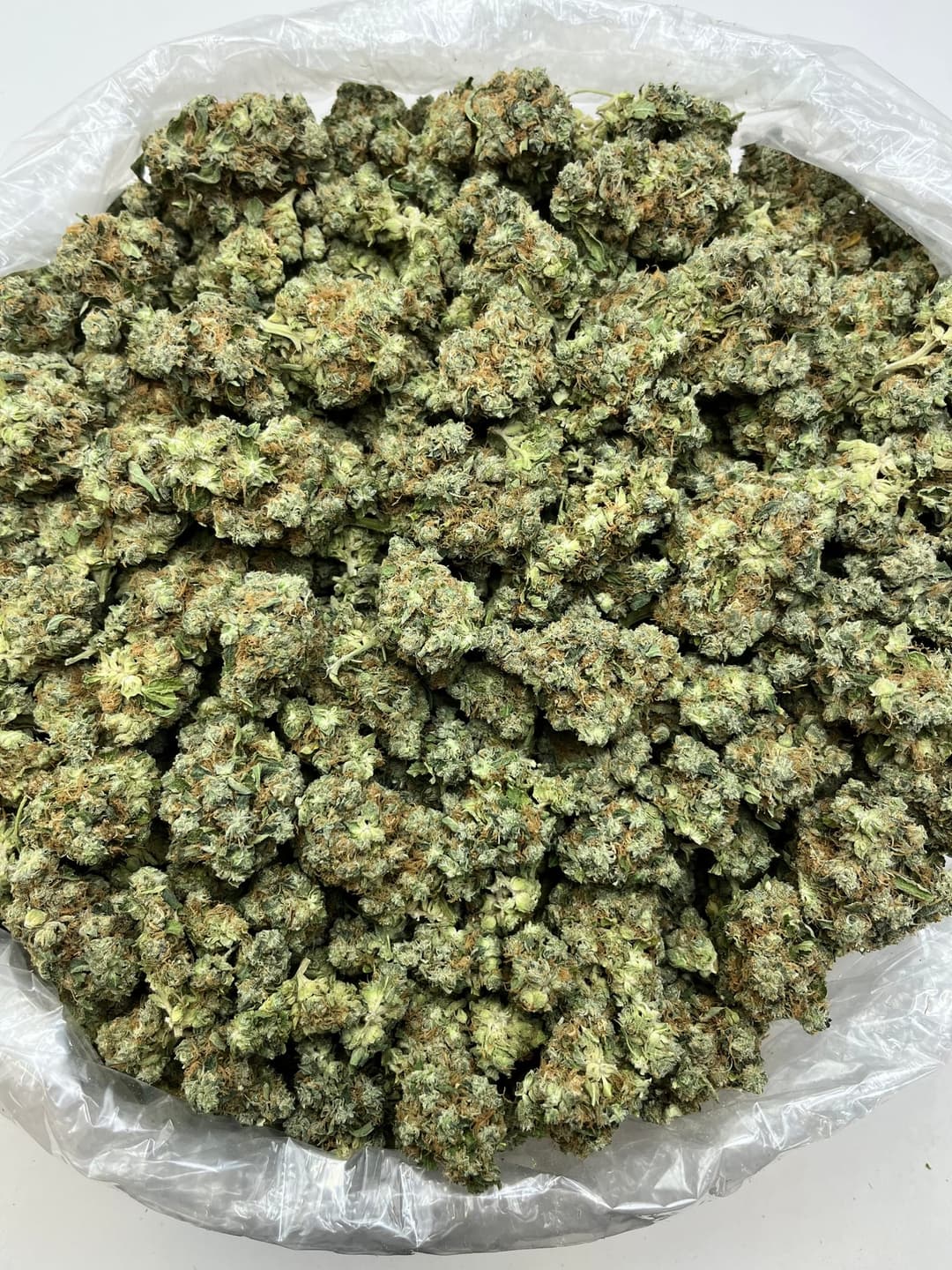 Amnesia Haze Bigs, same lot, photo 2 of 2