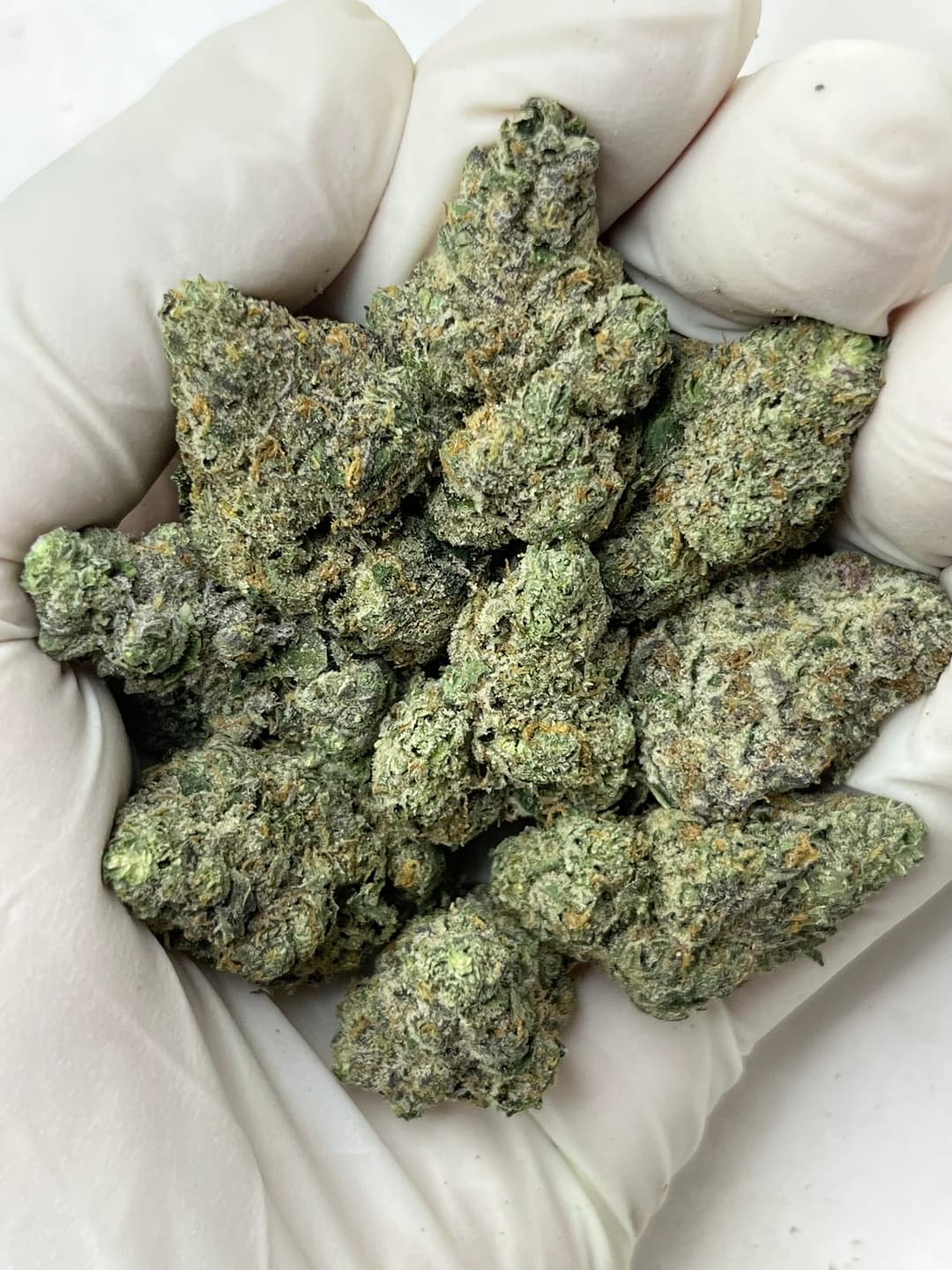 Blue Nerds (Bigs), photo 1 of 2