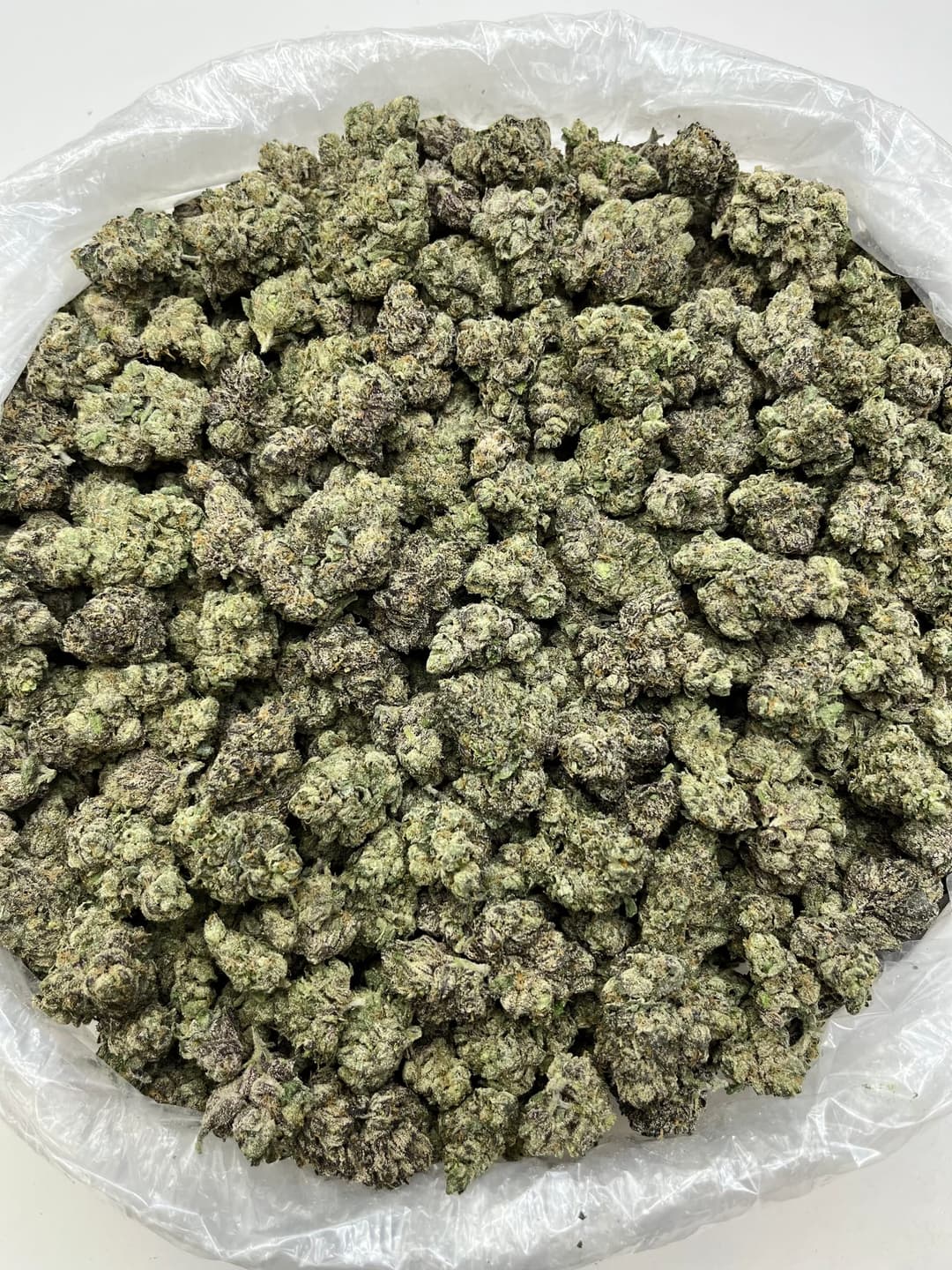 Blue Pop (Bigs), photo 2 of 2