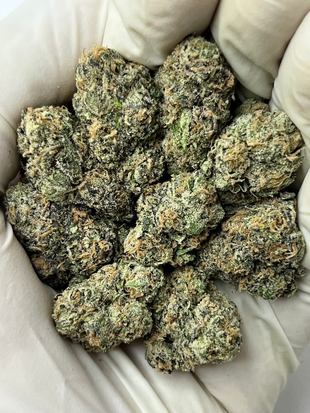 Pink Runtz (Bigs), photo 1 of 2