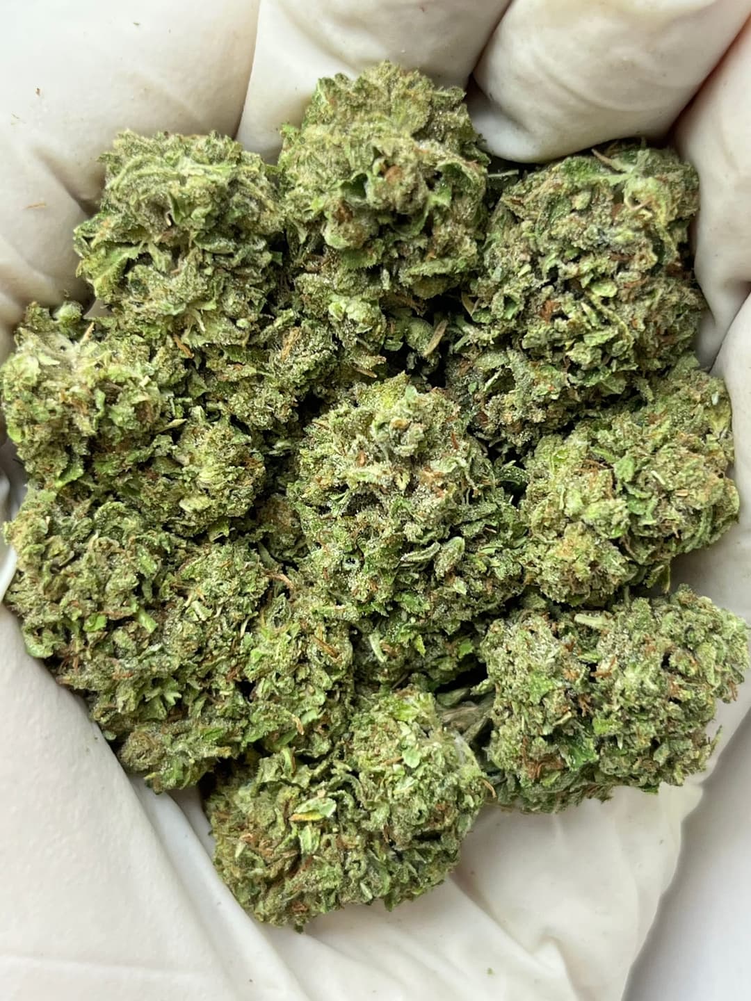 Zoap (Bigs), photo 1 of 2