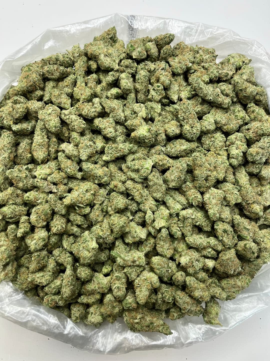 Blockberry (Bigs), photo 2 of 2