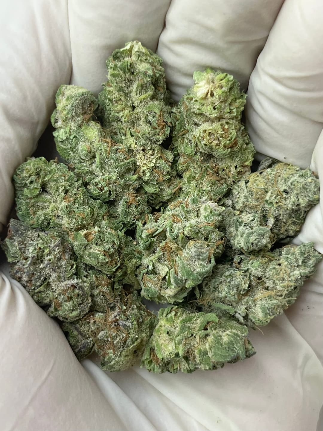 Green Berry Bigs, same lot, photo 1 of 2