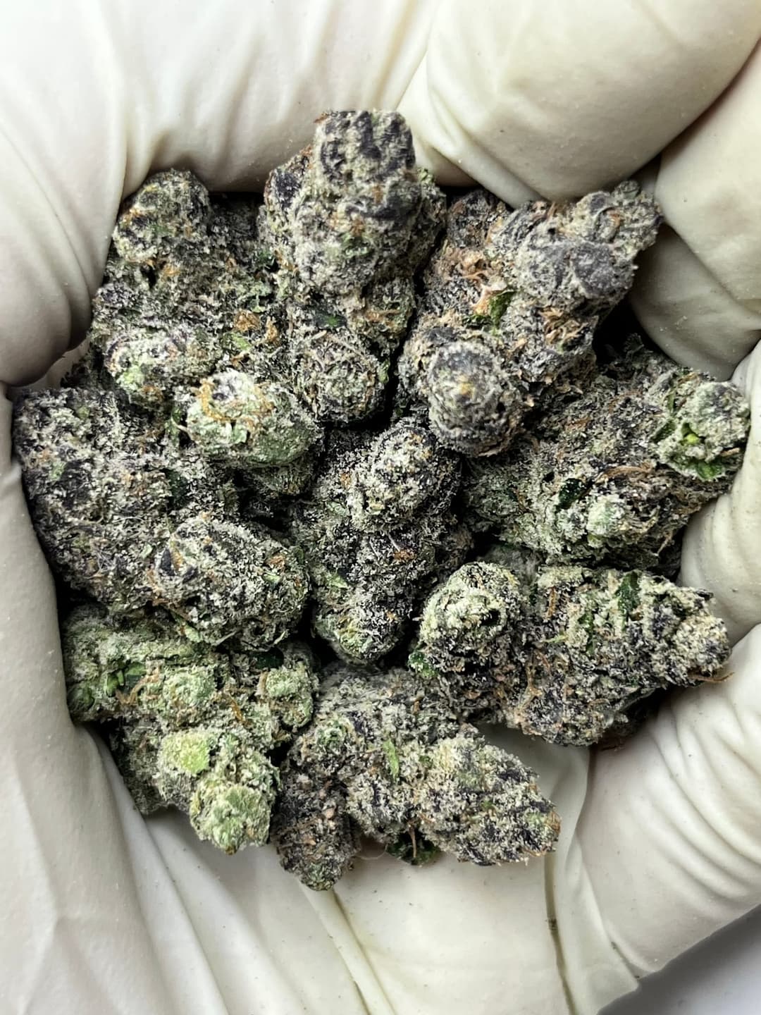 Candy Gas (Bigs), photo 1 of 2