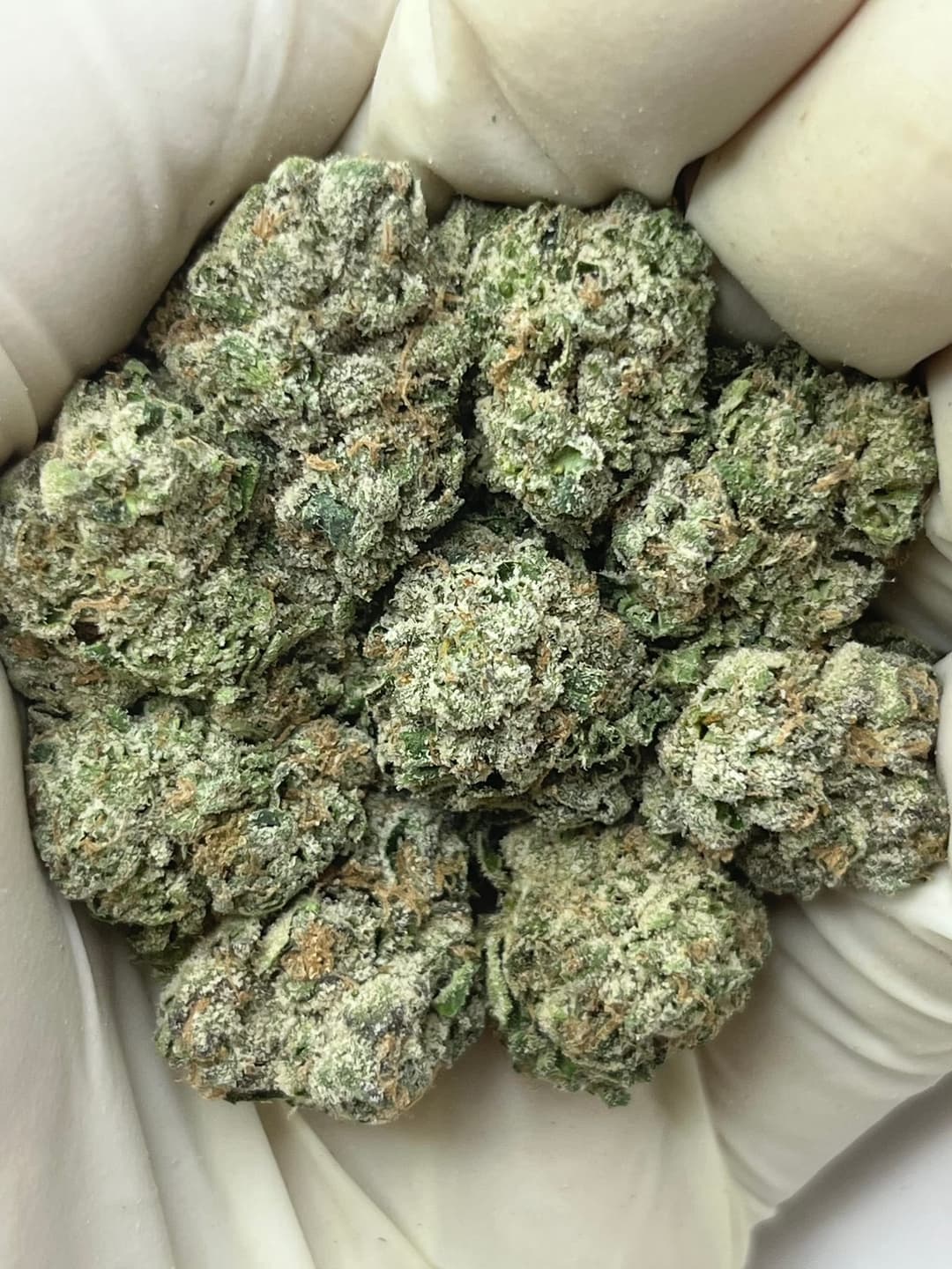 Lemon Headz (Bigs), photo 1 of 2