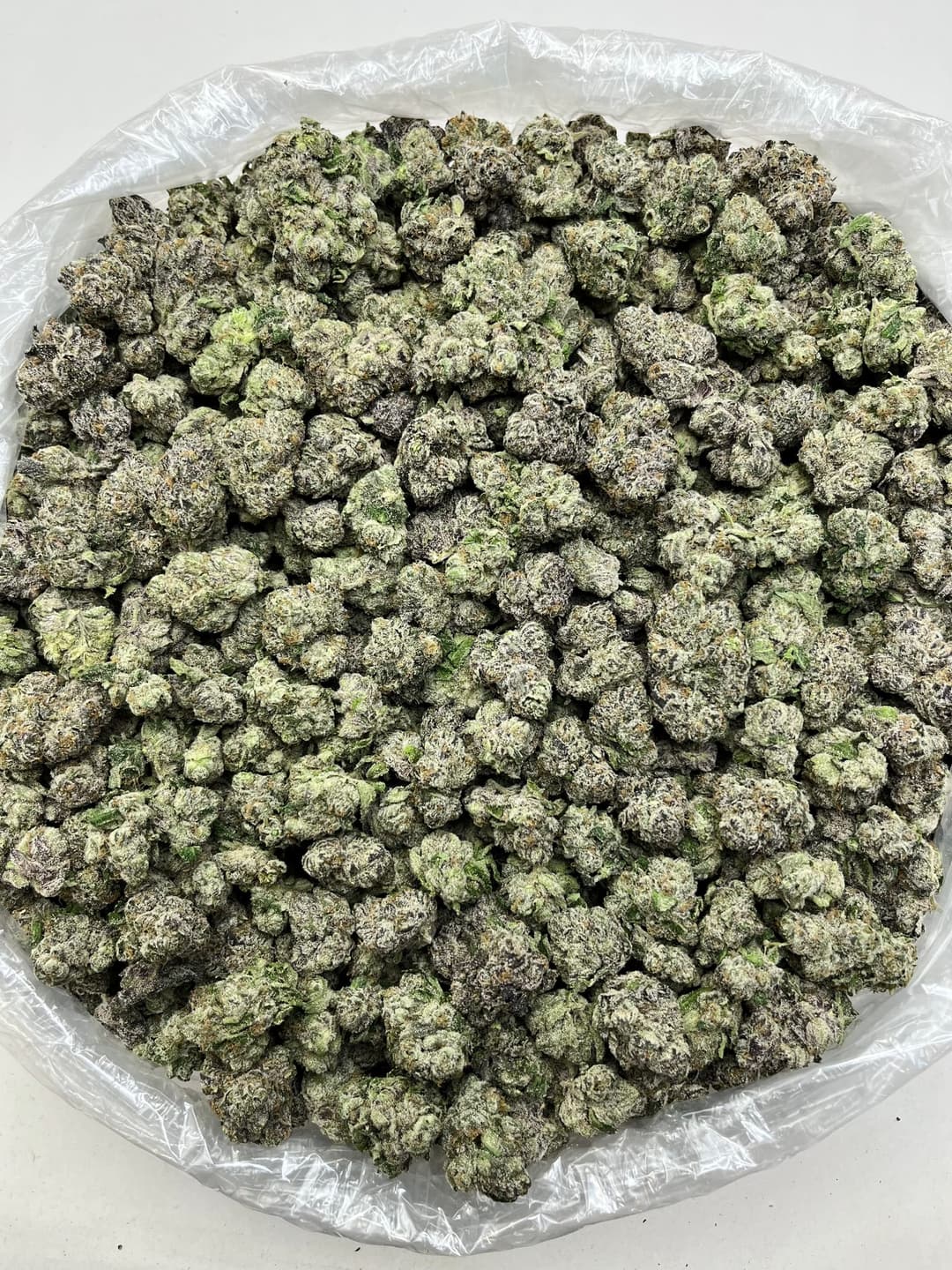 Bubblegum Runtz (Bigs), photo 2 of 2