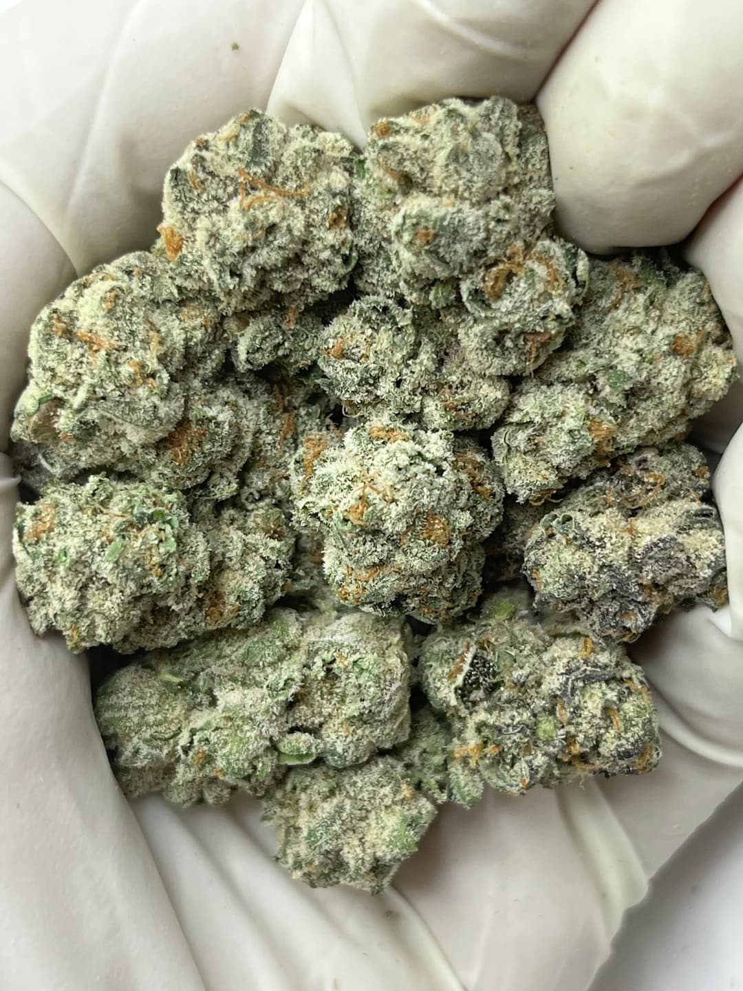 Sherbacio (Bigs), photo 1 of 2