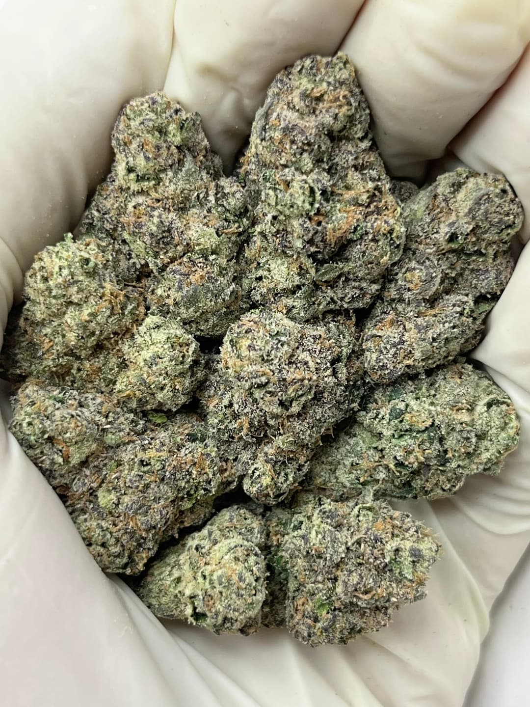 Glolatto (Bigs), photo 1 of 2