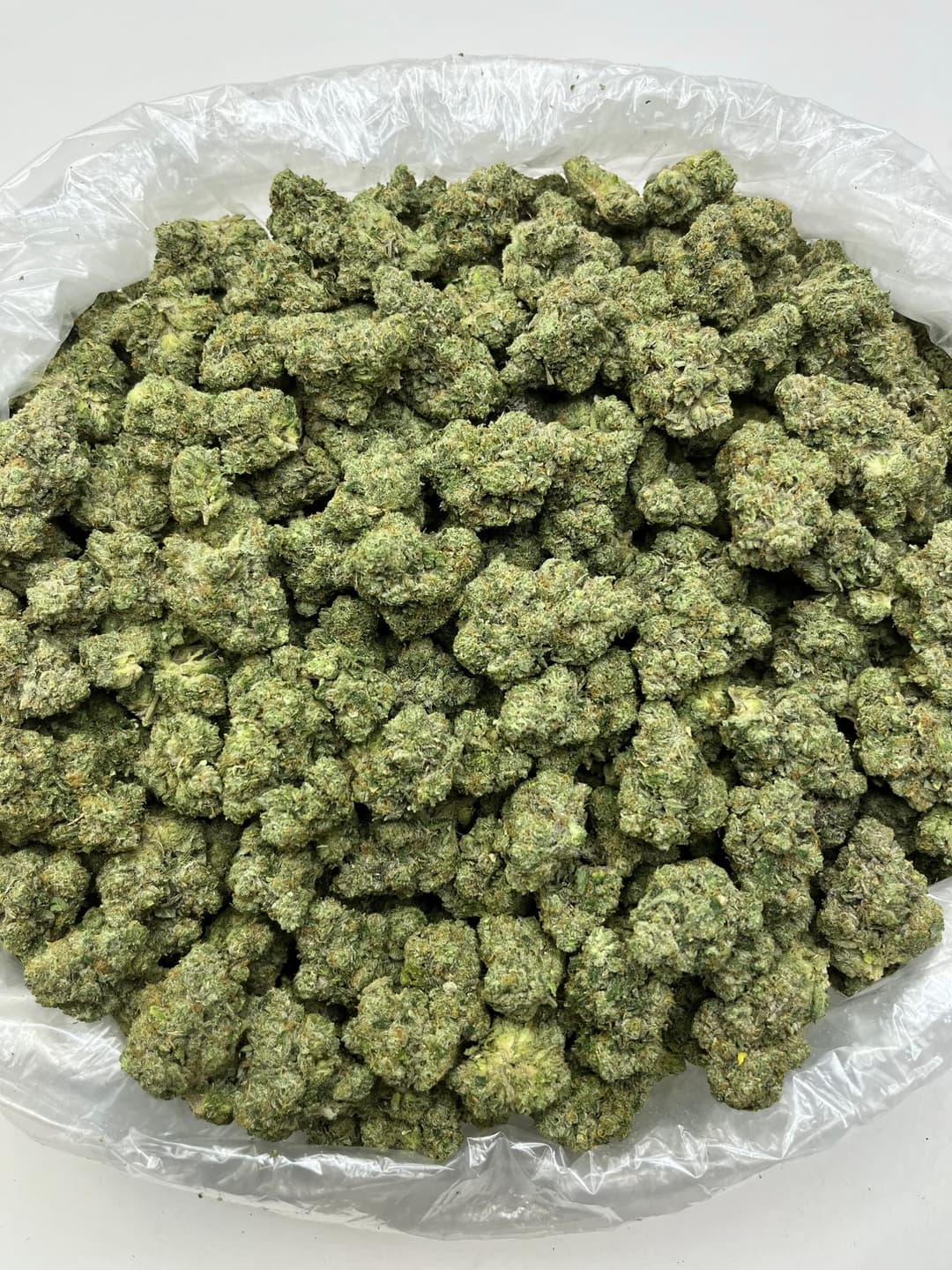Kami Kush (Bigs), photo 2 of 2