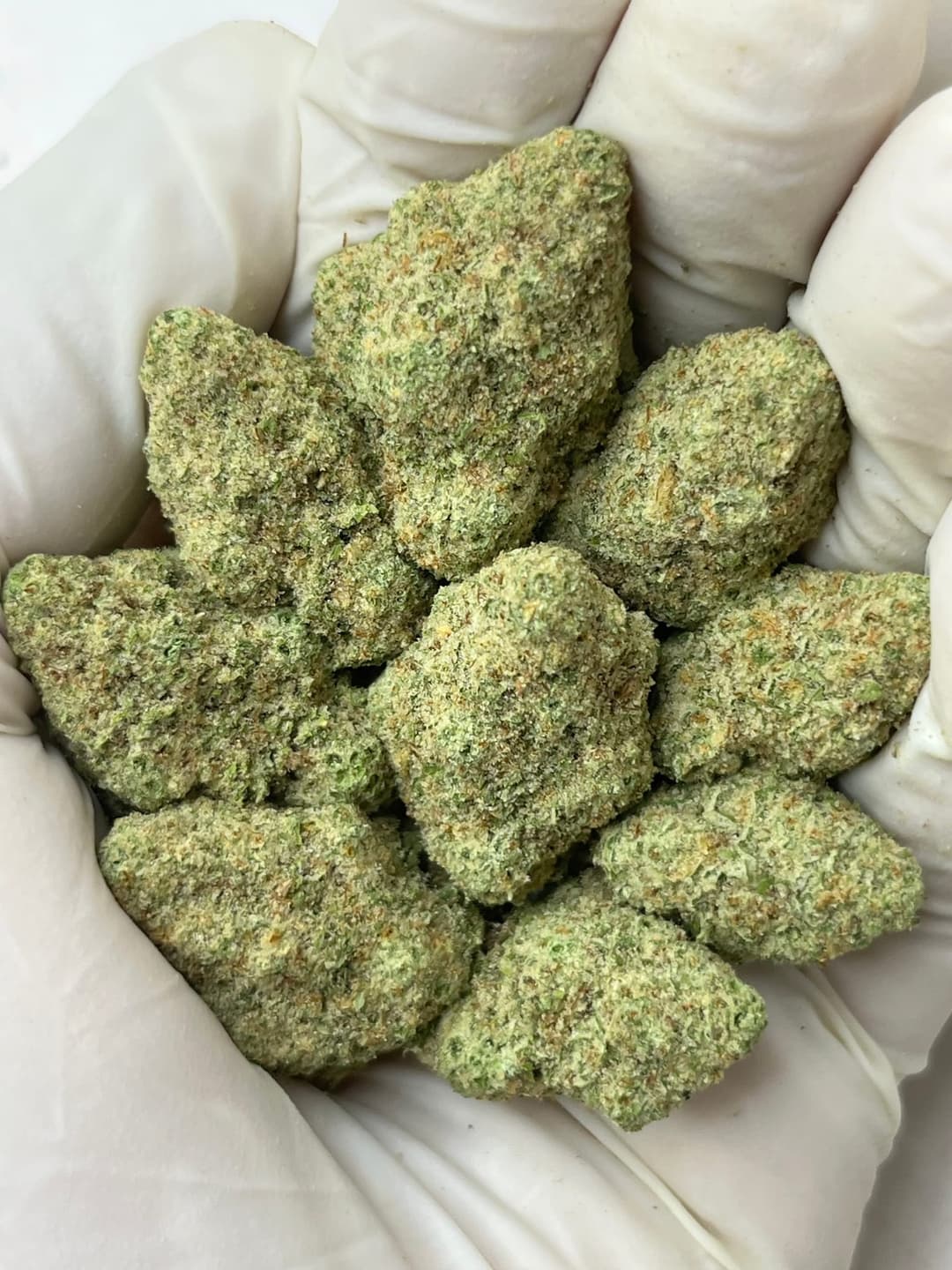 Papaya Punch (Bigs), photo 1 of 2