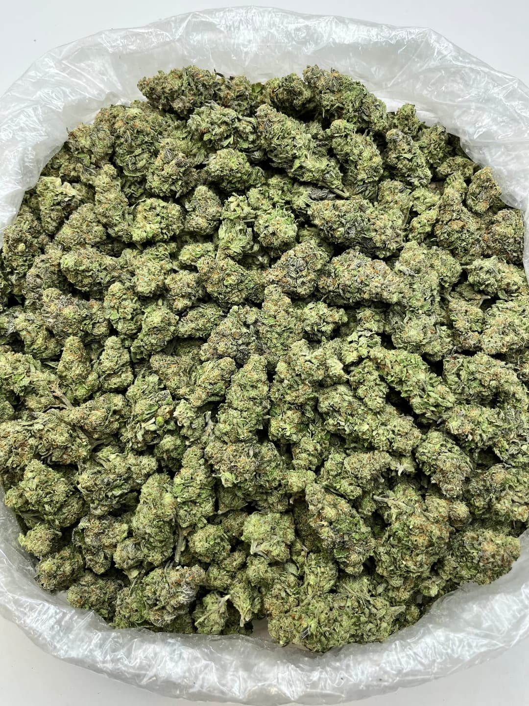 Gruntz (Bigs), photo 2 of 2