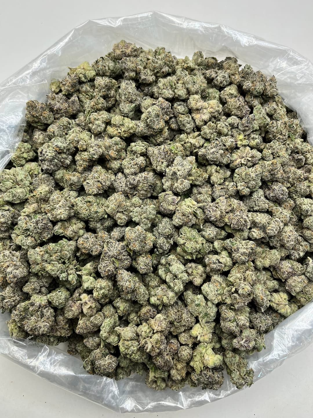 LCG (Bigs), photo 2 of 2