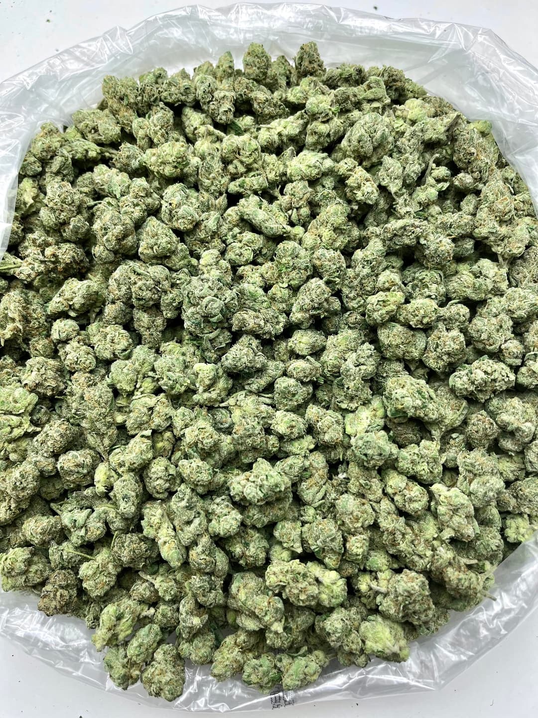Lemon Cherry Fuel (Bigs), photo 2 of 2