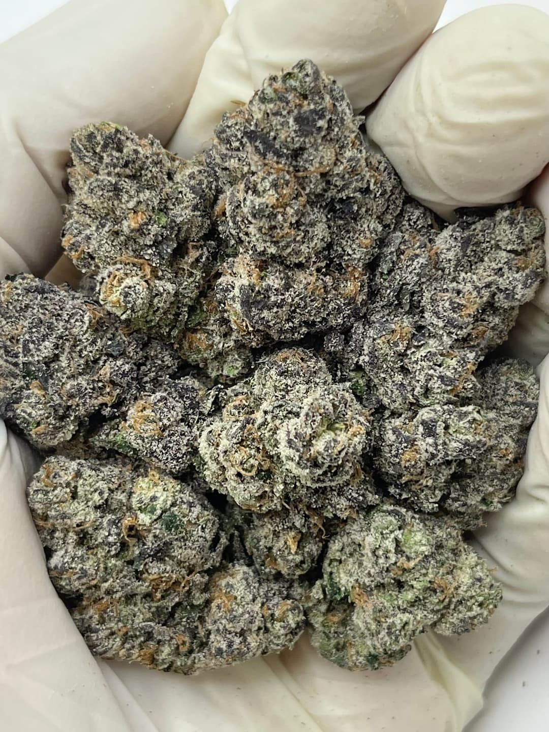 Blue Nerdz (Bigs), photo 1 of 2