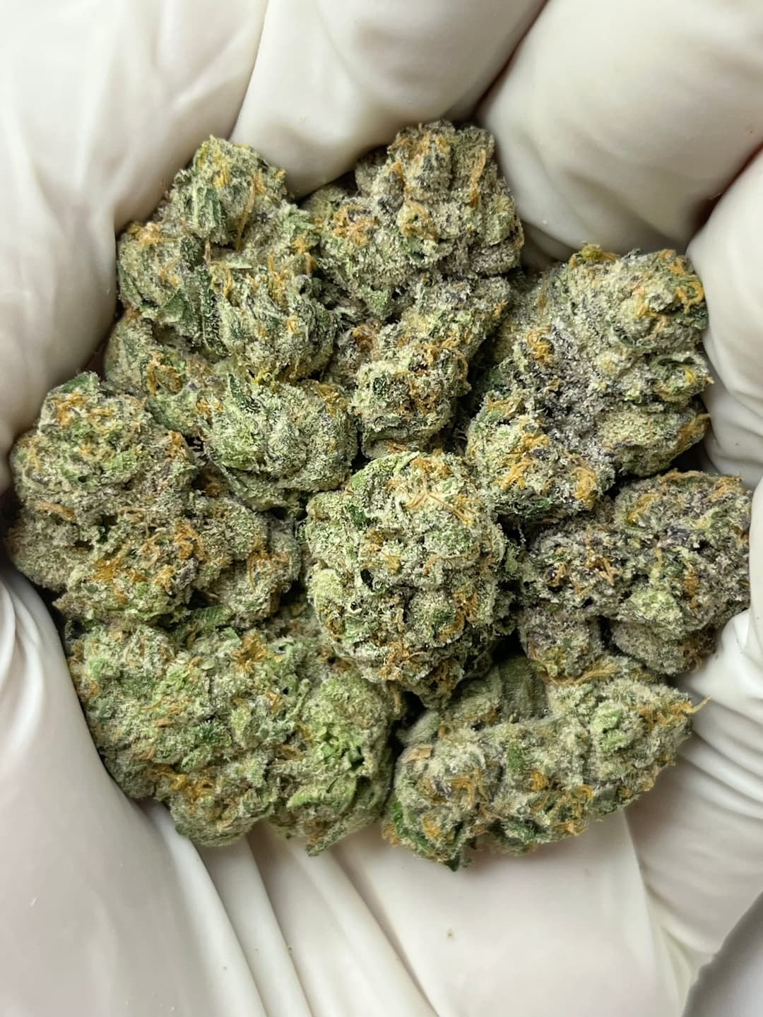 Cream Smoothie Bigs, earlier lot HC-M83PE2, photo 1 of 2