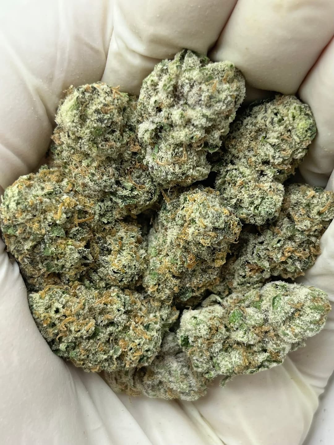 Georgia Pie (Bigs), photo 1 of 2