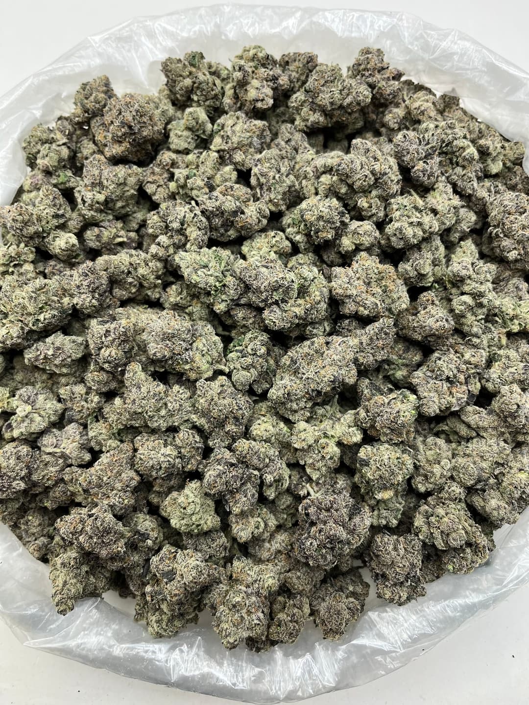 Black Runtz (Bigs), photo 2 of 2