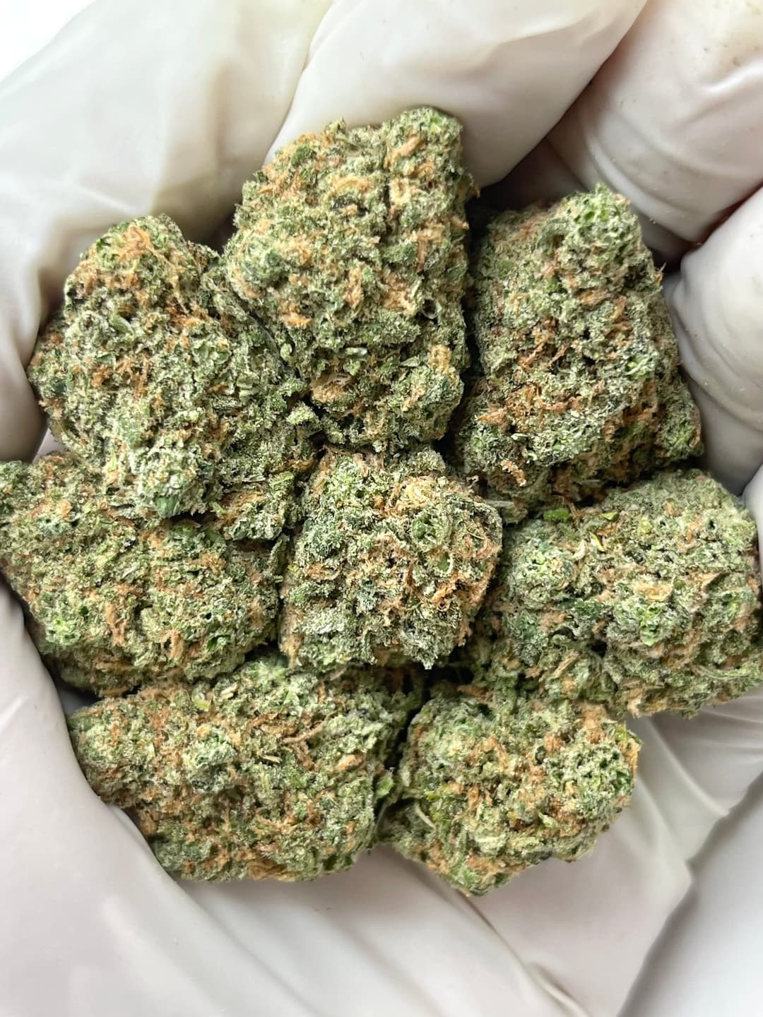Blue Dream (Bigs), photo 1 of 2