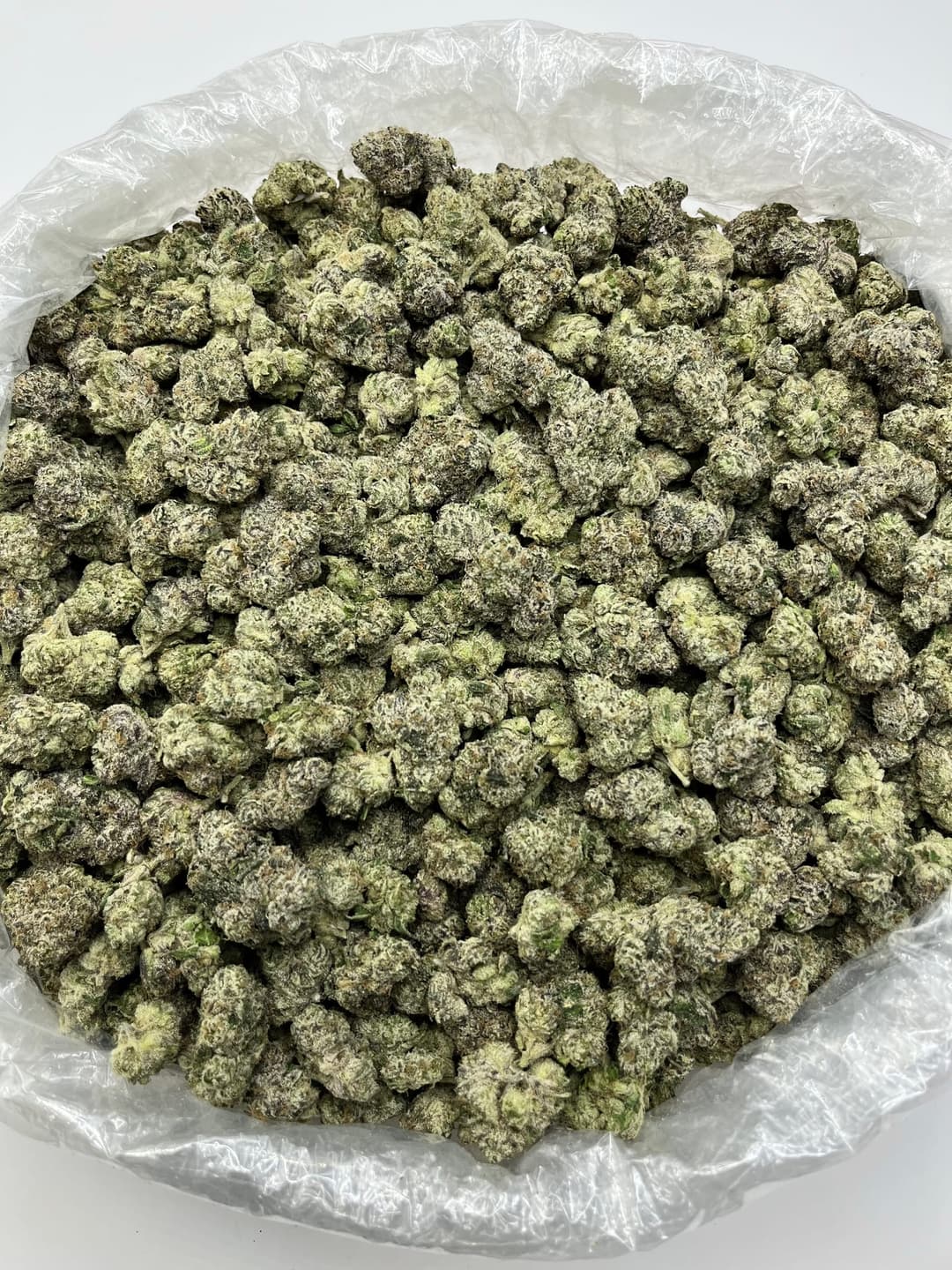 Lung Candy (Bigs), photo 2 of 2