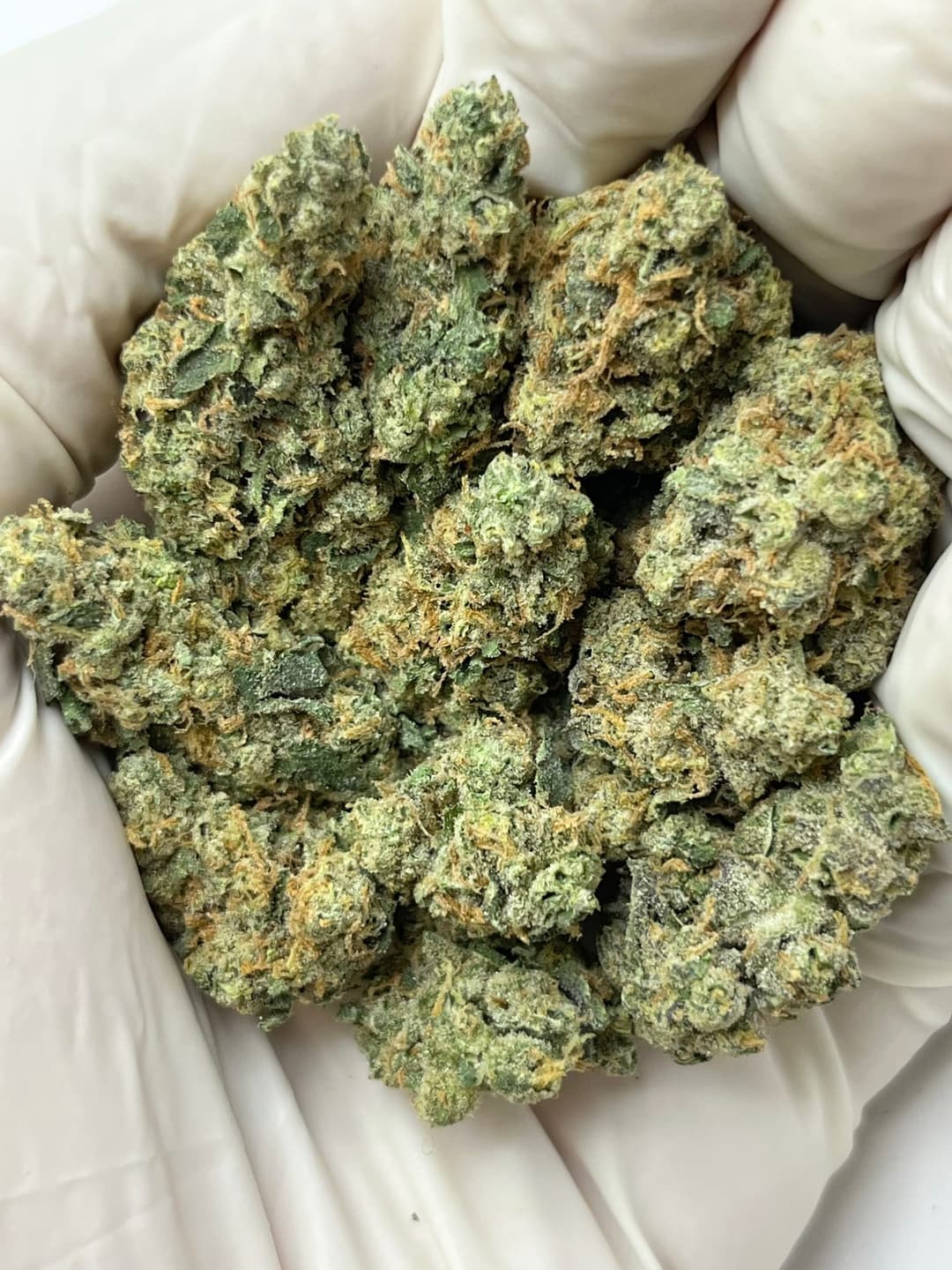 AppleScottie (Bigs), photo 1 of 2