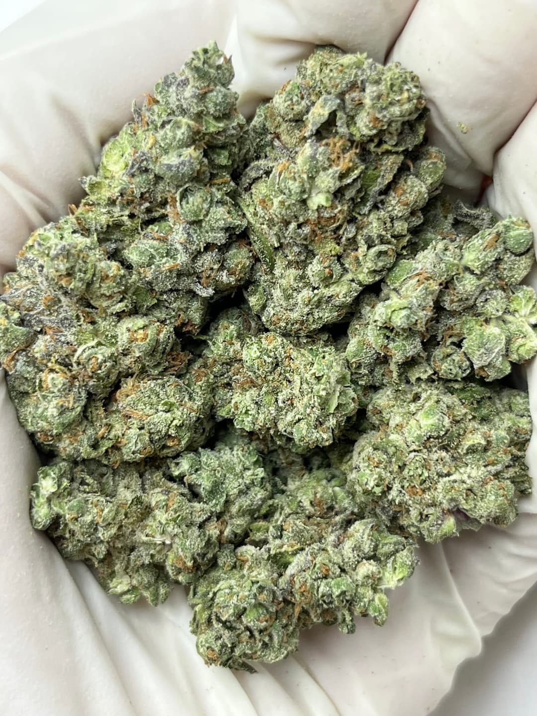 Platinum Lemon Gusherz Bigs, same lot, photo 1 of 2