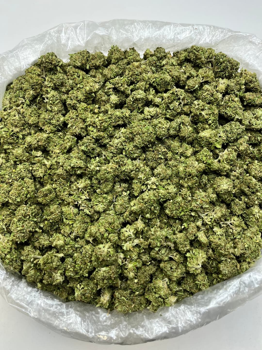Zoap (Bigs), photo 2 of 2