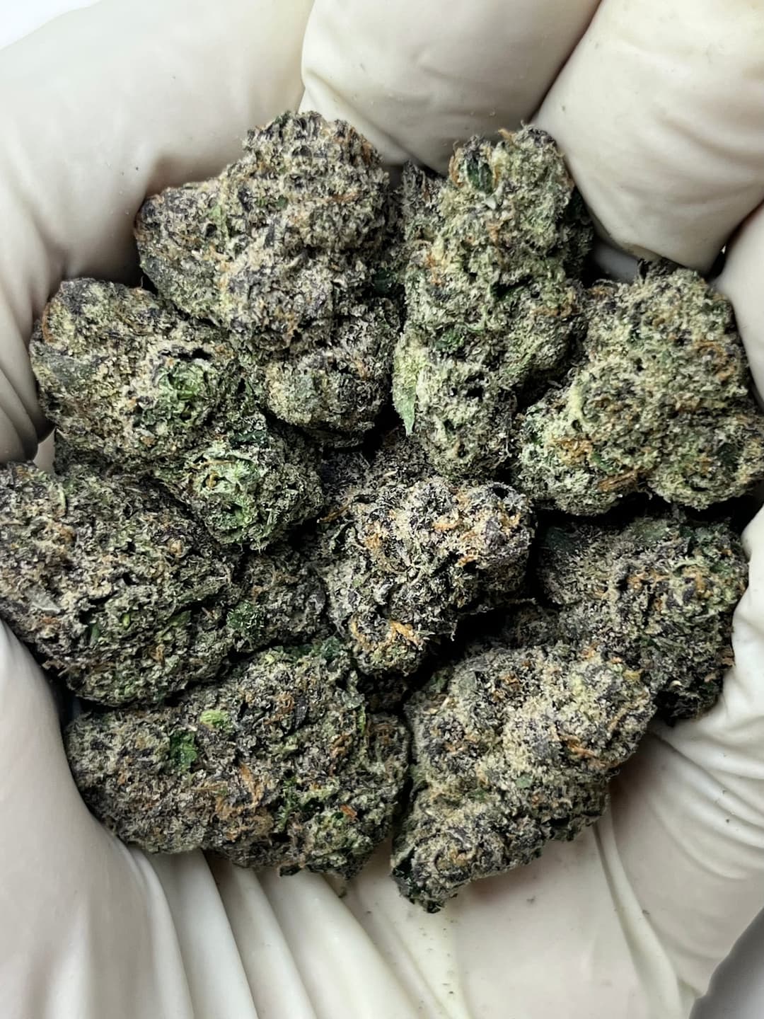 LCG BX (Bigs), photo 1 of 2