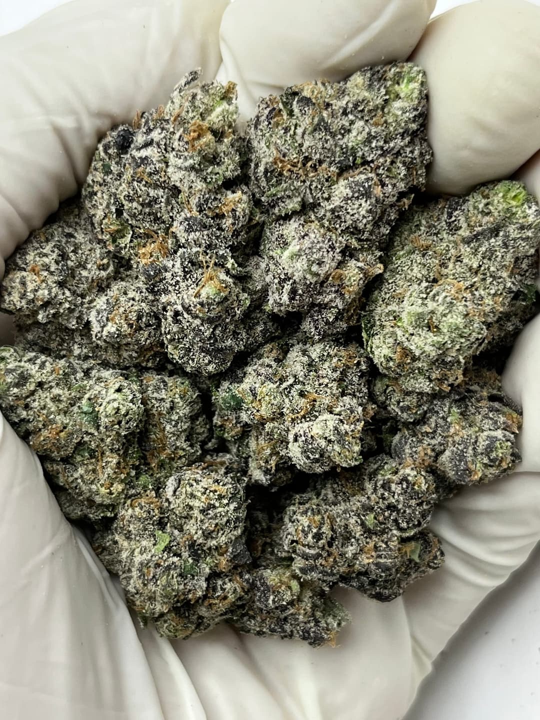 Black Runtz (Bigs), photo 1 of 2
