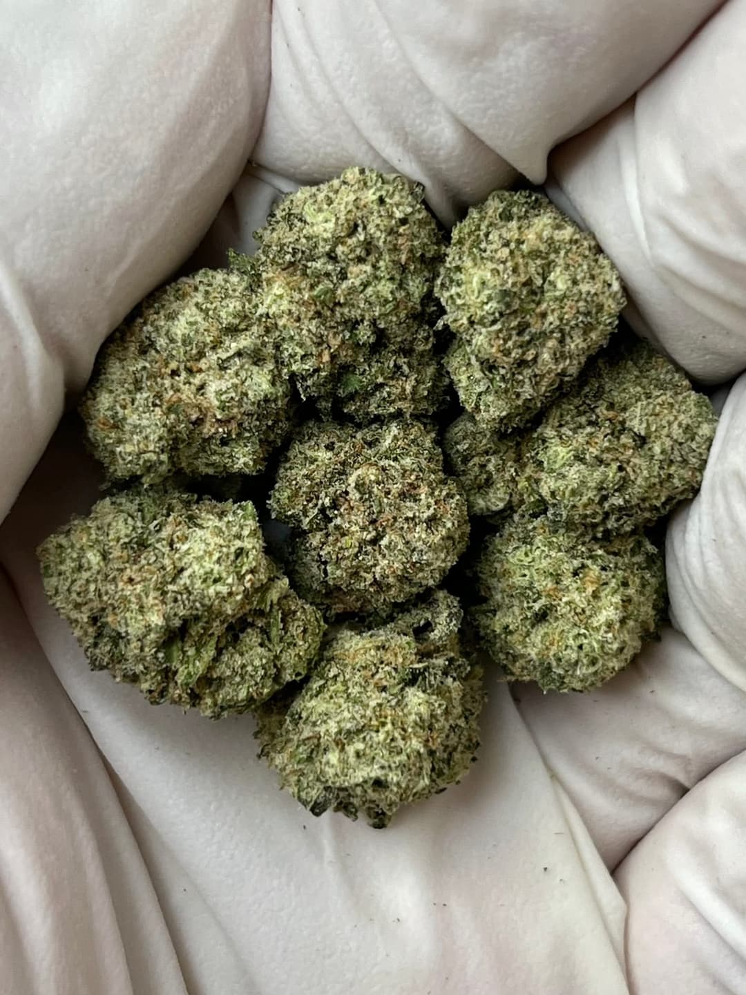 Pinnacle OG Smalls, earlier lot HC-KXTRK5, photo 1 of 2