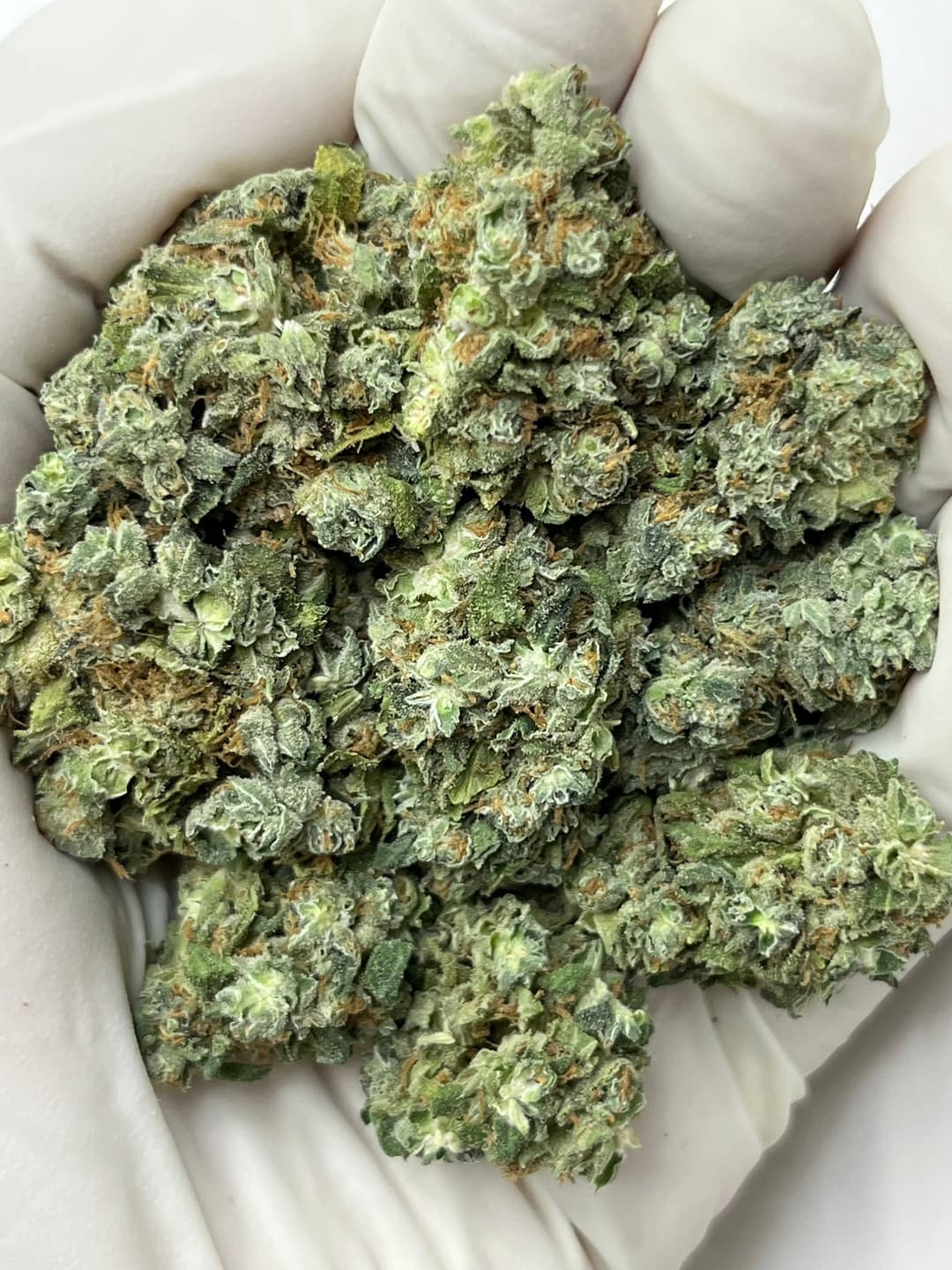 Blue Dream (Bigs), photo 1 of 2