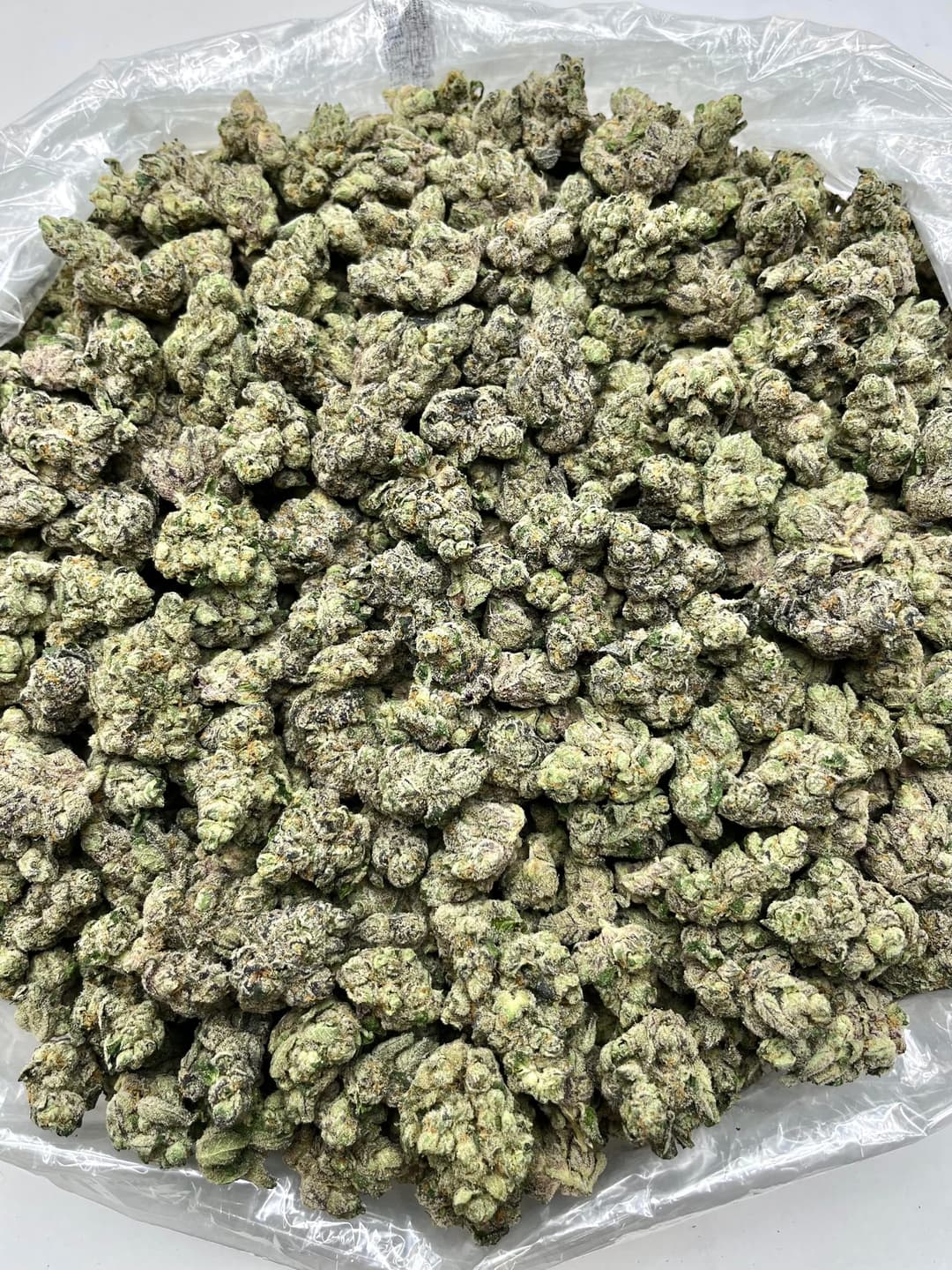 Gas Face (Bigs), photo 2 of 2