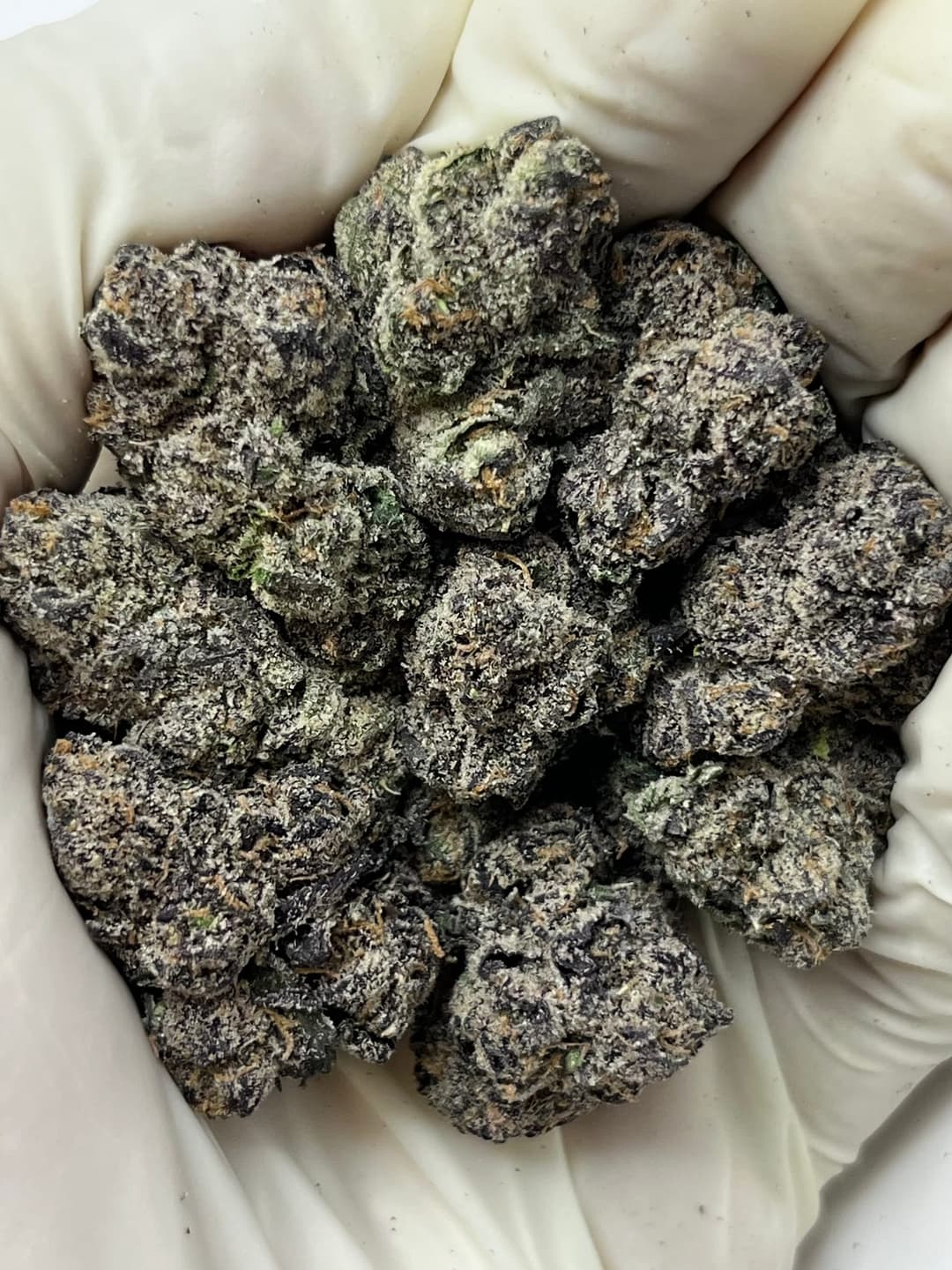 LCG BP (Bigs), photo 1 of 2