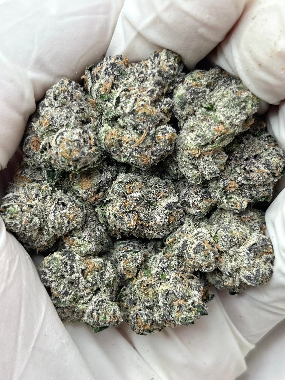 Pink Lemon Cherry Gelato (Bigs), photo 1 of 2