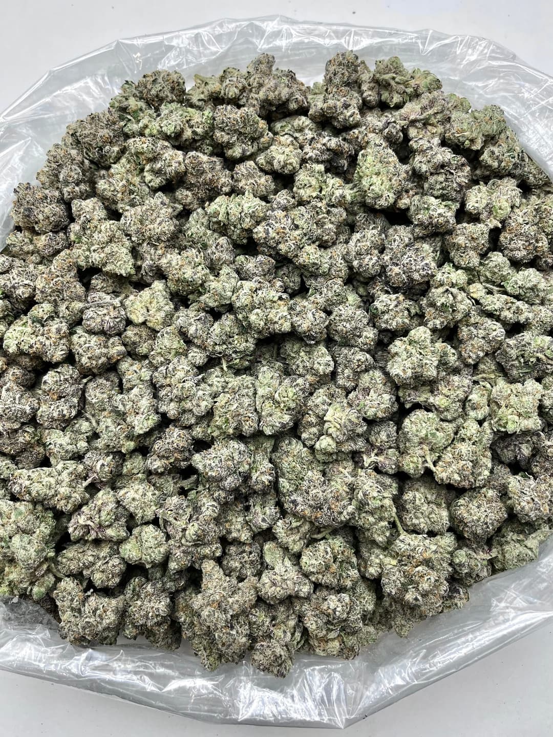 Cherry Gumdrop (Bigs), photo 2 of 2