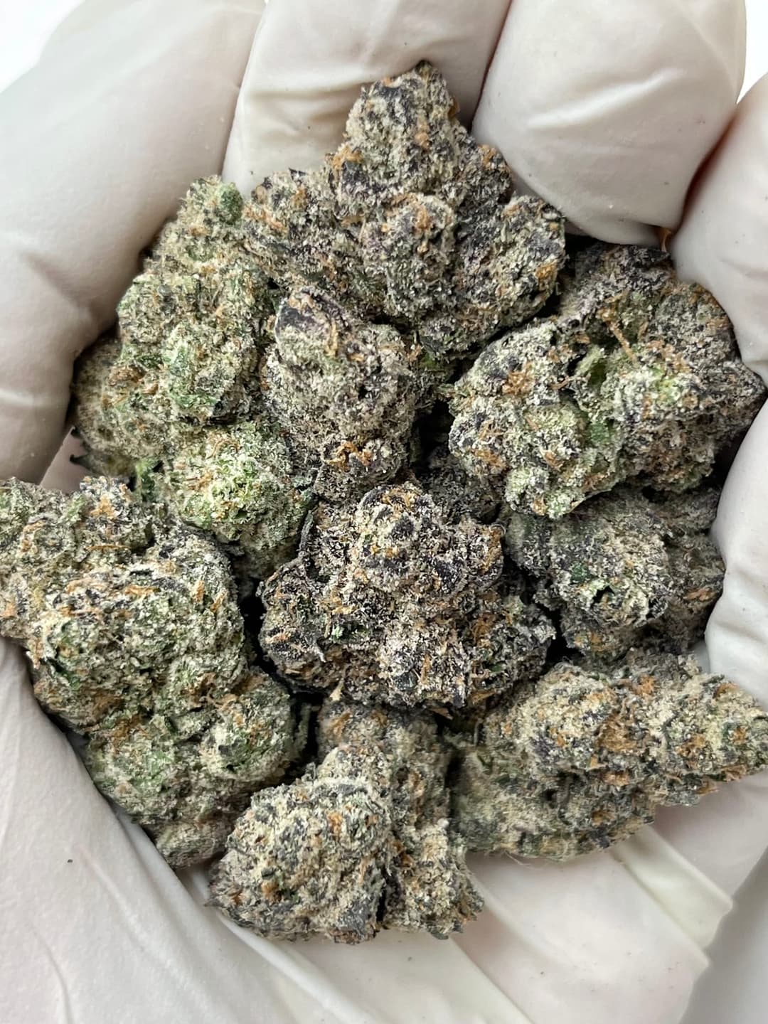 Cherry Gumdrop (Bigs), photo 1 of 2
