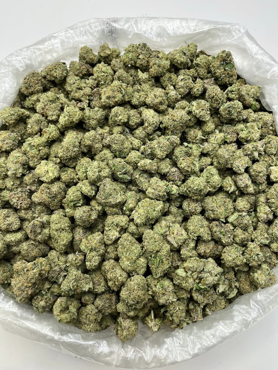 Pheno Hunt (Bigs), photo 2 of 2