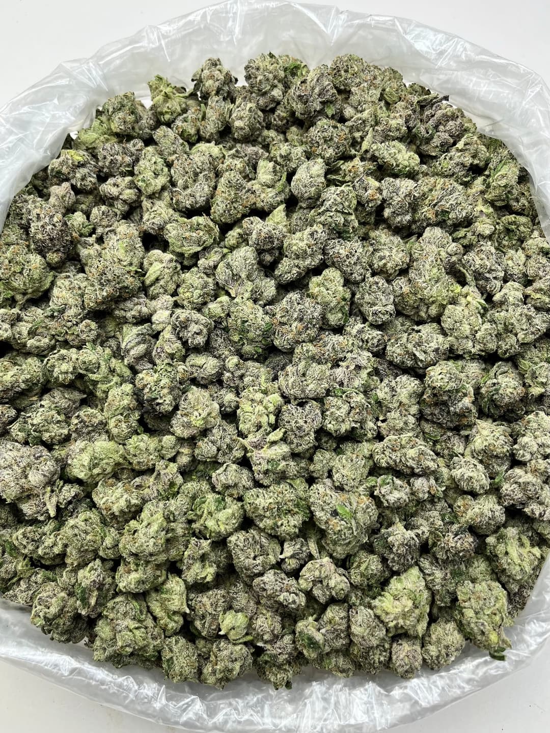 Galactic Warheadz (Bigs), photo 2 of 2